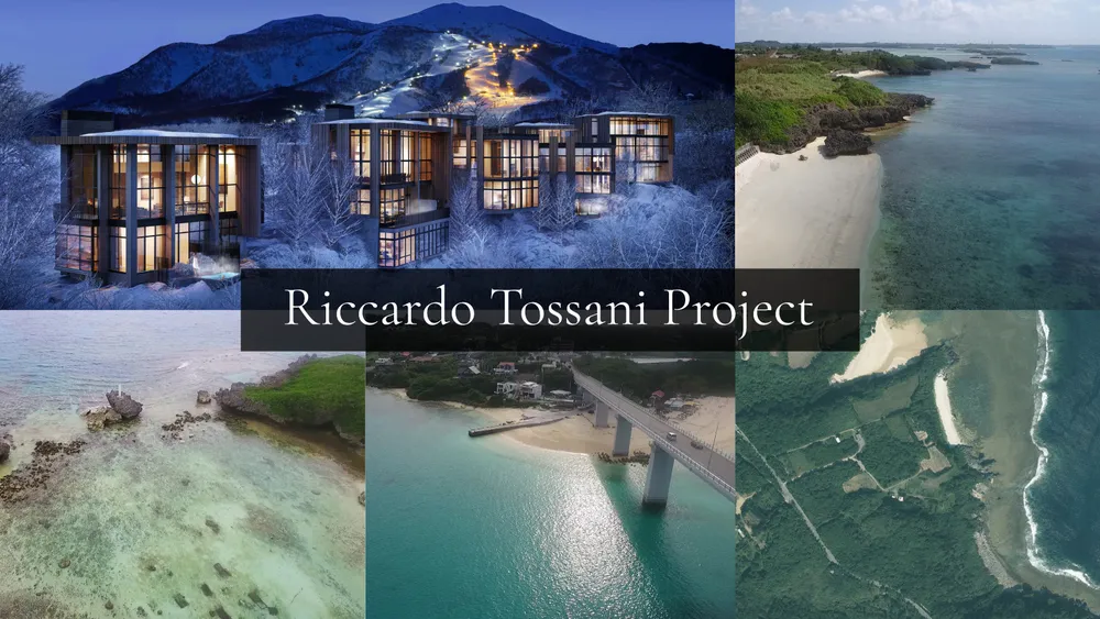 Riccardo Tossani Project