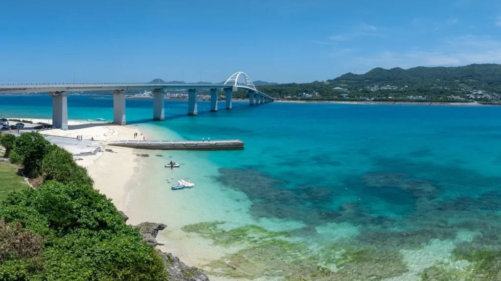 sesokojima release 13